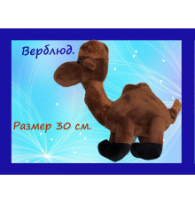 заманухи верблюд